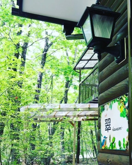 森の中のコテージ　翠